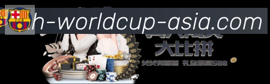 未来规划